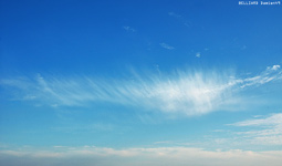 Cirrus fibratus vertebratus - 20 septembre 2005 - Mini